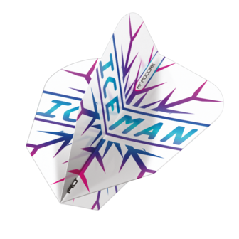 Gerwyn Price Snowflakes V-Standard 