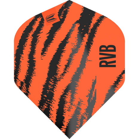 Target Pro Player Raymond van Barneveld Brass Std. Oranje